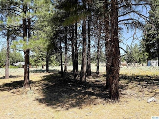 0 Maple Way, Spaulding, CA 96130