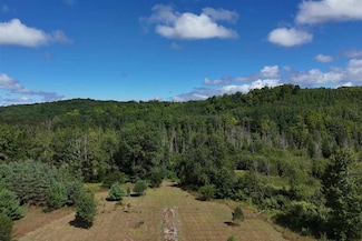 8324 Valley Rd NW, Rapid City, MI 49676