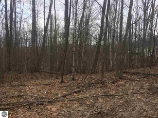 108 Bluff Rd, Leroy, MI 49655
