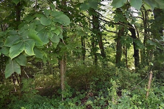 TBA Tba Beverly Hills Dr, North Tazewell, VA 24630