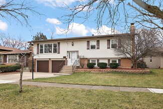 15351 Orogrande Dr, Oak Forest, IL 60452