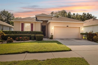 3720 Grecko Dr, Wesley Chapel, FL 33543