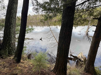 0 River Dr Unit 50307435, Shawano, WI 54166