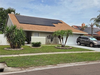 8718 Lindenhurst Place, Tampa, FL 33634