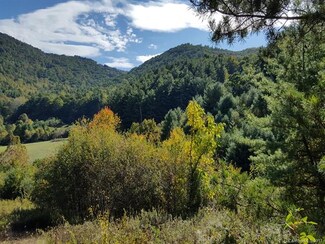 125 Rice Branch Rd Unit 5, Asheville, NC 28804