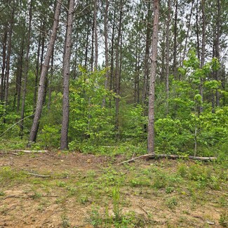 Lot 12 Holly Woods, Robbins, TN 38562