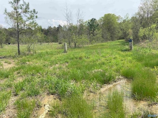 38.1 Acres Herb Collete Dr, Steele, AL 35987