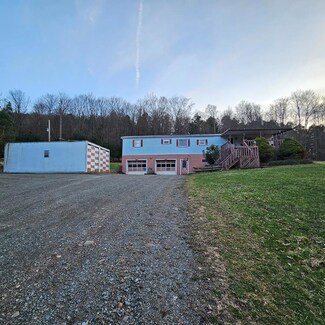 324 Old Mill Rd, Mainesburg, PA 16932
