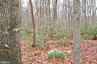 0 Nottingham Rd, Elkton, MD 21921