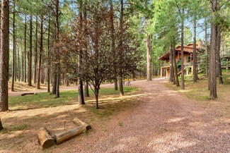 663 Trout Springs Rd, Forest Lakes Estates, AZ 85931