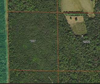 0 Wikaryasz Rd Unit 40.6 ACRES 325321, Posen, MI 49776