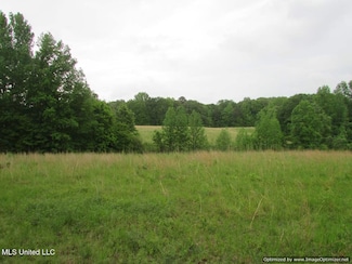 0 Westbrook Road Waldrup Rd Unit 4111003, Vaughan, MS 39179