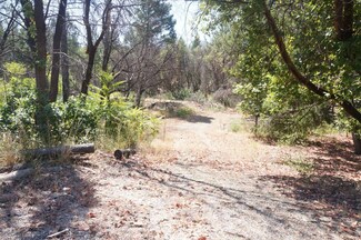250 Bear Springs Rd, Junction City, CA 96048