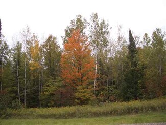 160 Acres Whippoorwill Rd, Marathon, WI 54448