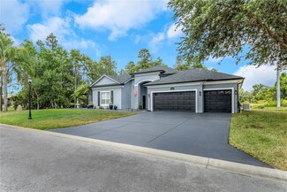 2332 Dekan Ln, Land O Lakes, FL 34639