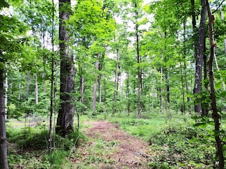 Tea Lake Rd, Crandon, WI 54520