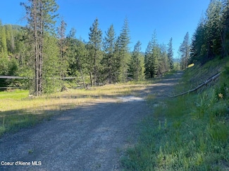 330 Lower Page Rd, Smelterville, ID 83868