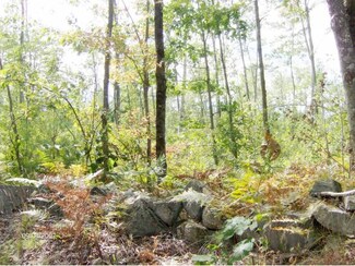8 Maplewood Rd, Parsonsfield, ME 04047