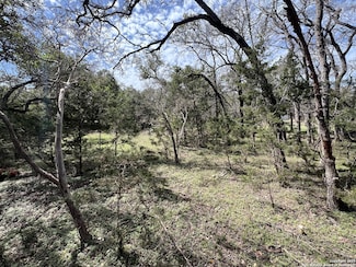 1337 Valley Springs Dr, Spring Branch, TX 78070