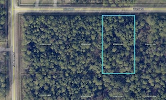 4445 Wanda St, Flagler Estates, FL 32145