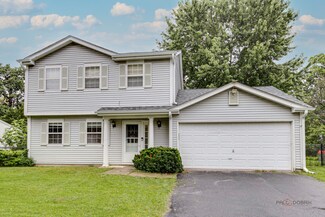 4208 Hale Ln Unit 11, Island Lake, IL 60042
