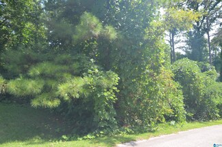 0 Hilltop Rd, Weaver, AL 36277