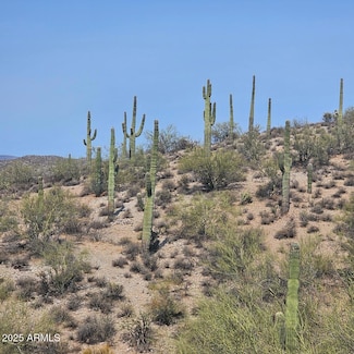 5xxxx N 292nd Ave, Wickenburg, AZ 85390