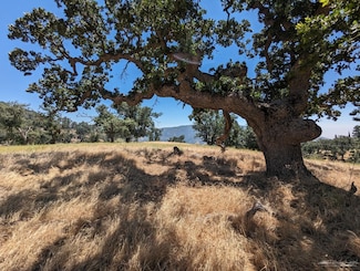 28441 Deertrail Dr, Tehachapi, CA 93561
