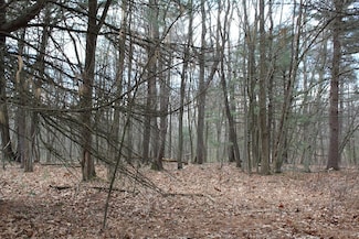 0 Longhorn Rd Unit LotWP020 23156043, Union Township, PA 16652