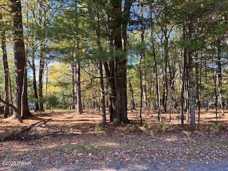 Lot 226 Hound Rd, Delaware Township, PA 18328