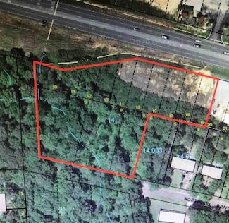 00 Martin Luther King Junior Expy, Carolina, AL 36420