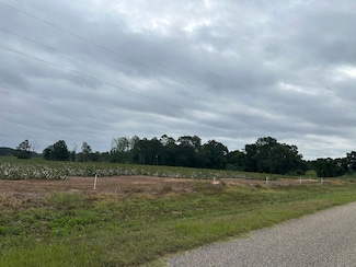 0 Jim Foshee Rd, Red Level, AL 36474