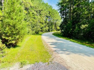 1041 Bridle Gate Trail, Awendaw, SC 29429