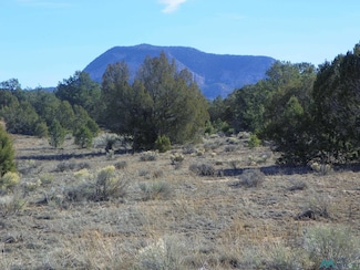 78 Sawtooth Dr, Pie Town, NM 87827