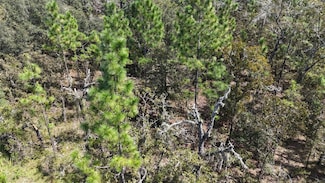Lot 37 SE 126th Terrace, Dunnellon, FL 34431
