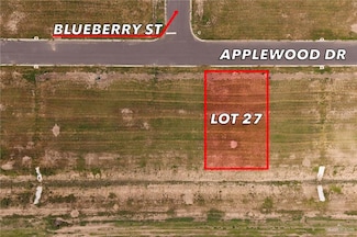 27 Applewood St, Weslaco, TX 78596