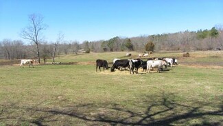 0 New Home Loop, Trenton, GA 30752