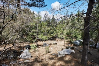 1700 Linden Dr, Pine Mountain Club, CA 93225