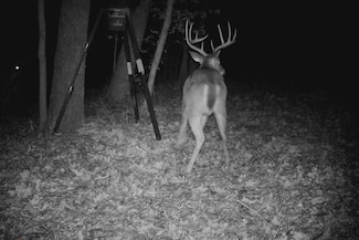 6949 E Fm 852, Winnsboro, TX 75494