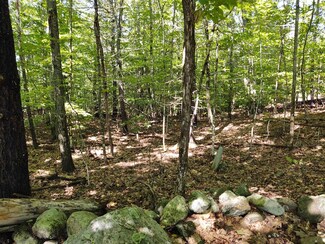 TM 55-2-5 Middle Rd, Center Tuftonboro, NH 03816