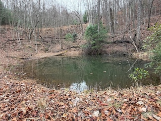 TBD Casey Mountain Rd Unit 218, Purlear, NC 28665