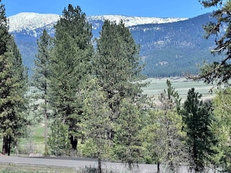 TBD Hot Springs Rd, New Meadows, ID 83654