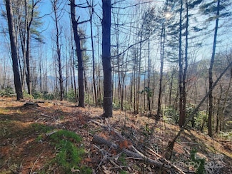 111 Digging Seng Trail Unit 138, Waynesville, NC 28785