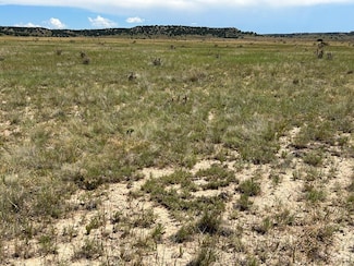 Lot 4 Outback Ranch, Model, CO 81059