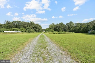 18167 Locust Grove Rd, Bowling Green, VA 22427