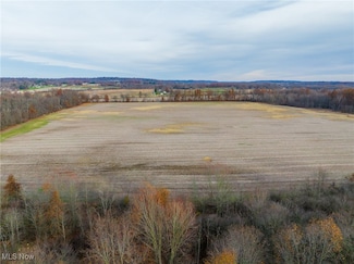 12160 Harvey Cir, Chippewa Township, OH 44270