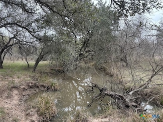6 Dentler Tract 6 Rd, Meyersville, TX 77974