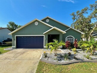 12418 Bighorn Ct, New Port Richey, FL 34654