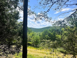15C-2 Charles Rd, Decatur, TN 37322