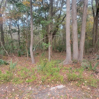 000 Murraywood Rd, Johns Island, SC 29455
